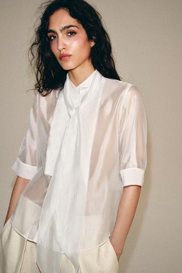 Zara {名称} - {颜色}