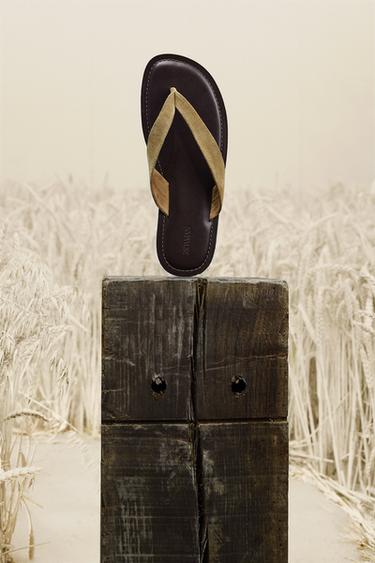 Zara {名称} - {颜色}