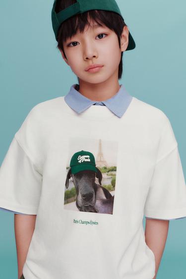 Zara {名称} - {颜色}