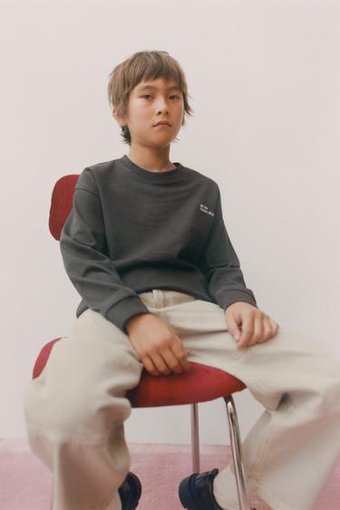 Zara {名称} - {颜色}