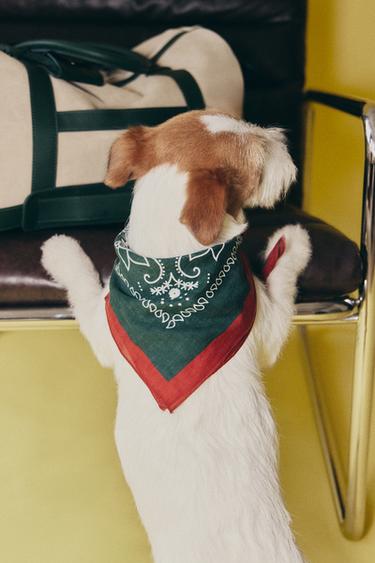 PAISLEY COTTON PET BANDANA - Green by Zara