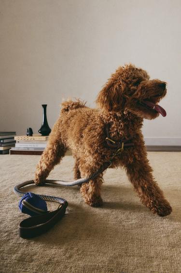 PET BAG DISPENSER - Blue by Zara