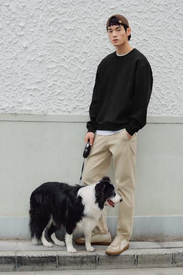 Zara {名称} - {颜色}