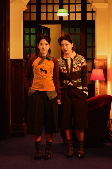 JACQUARD KNIT CARDIGAN - Brown by Zara