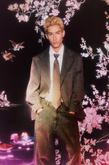 Zara {名称} - {颜色}