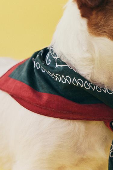 PAISLEY COTTON PET BANDANA - Green by Zara