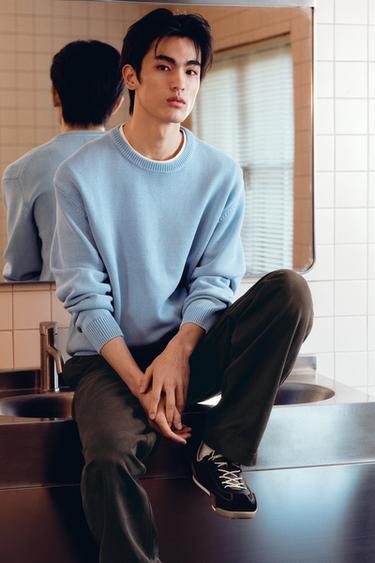 Zara {名称} - {颜色}