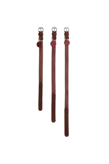 LEATHER PET COLLAR - Burgundy by Zara
