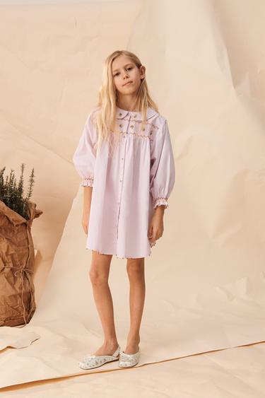 LIMITED EDITION EMBROIDERED DRESS - Light mauve by Zara