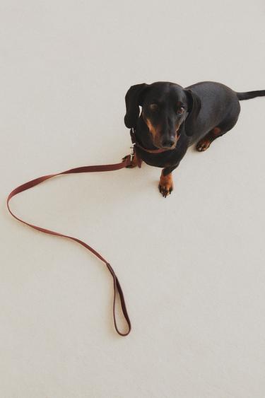 PET LEAD WITH LOBSTER CLASP - Burgundy by Zara