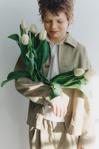 Zara {名称} - {颜色}