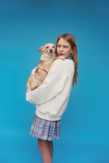 Zara {名称} - {颜色}