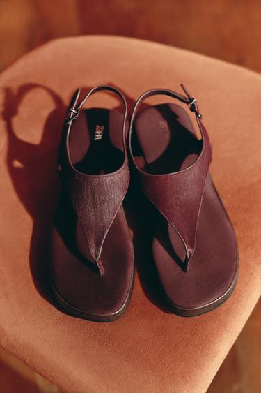 Zara {名称} - {颜色}