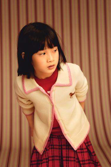 Zara {名称} - {颜色}