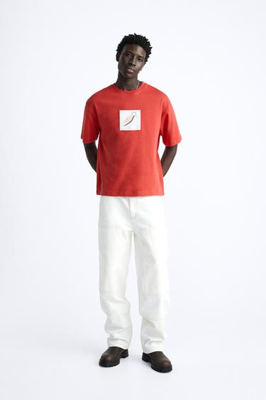 Zara {名称} - {颜色} - 0 图片