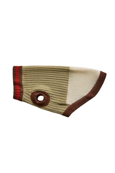 RIBBED PET SWEATER - Light green by Zara