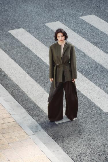 FLOWING TROUSERS WITH DARTS ZW COLLECTION - Brown by Zara