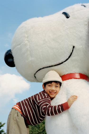 STRIPED KNIT SWEATER - Brown / Ecru by Zara