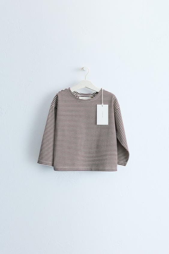 ZARA TIMELESS - STRIPE PRINT T-SHIRT - Brown by Zara - Image 0