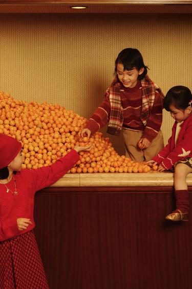 Zara {名称} - {颜色}