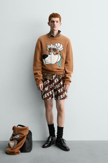 NANA PETER PAN WOOL JUMPER HARRY LAMBERT FOR ZARA X DISNEY - Brown by Zara
