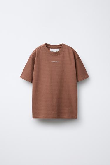 EMBROIDERED TEXT STRUCTURE T-SHIRT - Russet by Zara
