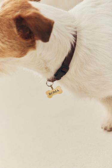 STAINLESS STEEL BONE PET CHARM - Gold by Zara