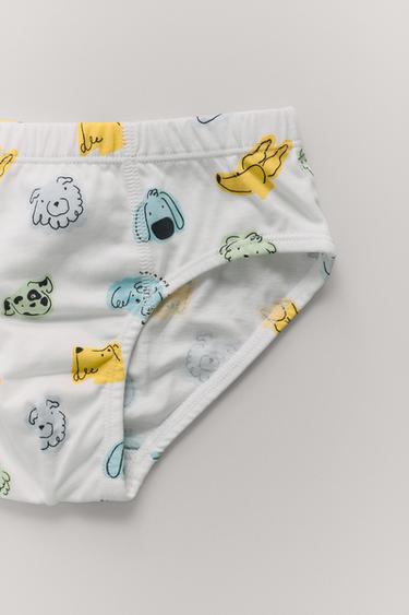 1 1/2-6 YEARS/ SIX-PACK OF PUPPY BRIEFS - Multicoloured by Zara
