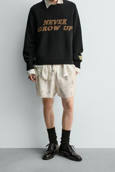 Zara {名称} - {颜色}