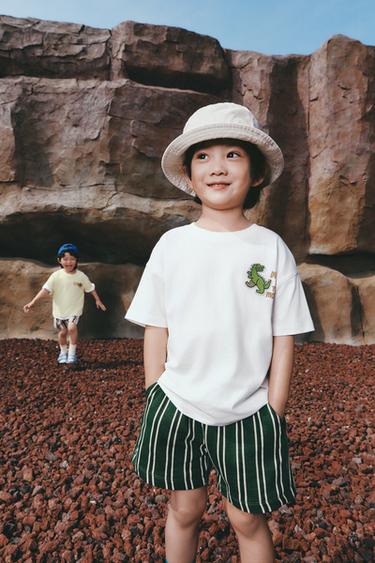 Zara {名称} - {颜色}