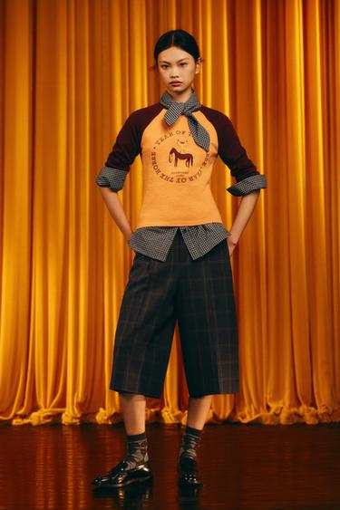 Zara {名称} - {颜色}