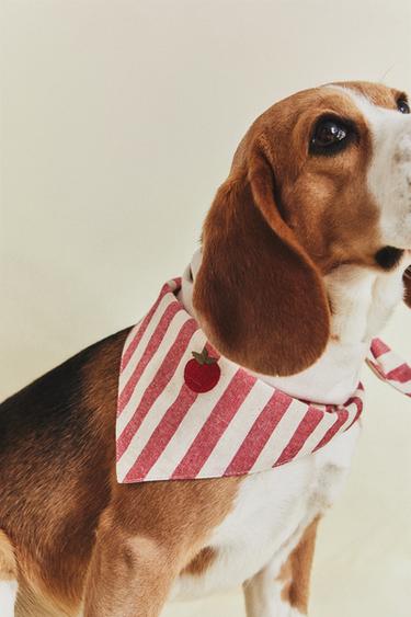 STRIPED TOMATO PET BANDANA - Red by Zara
