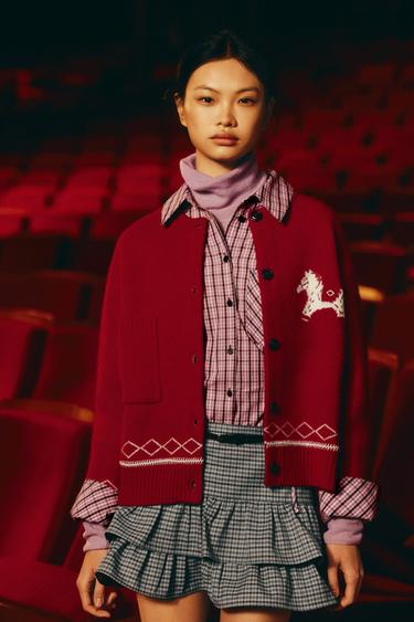 Zara {名称} - {颜色}