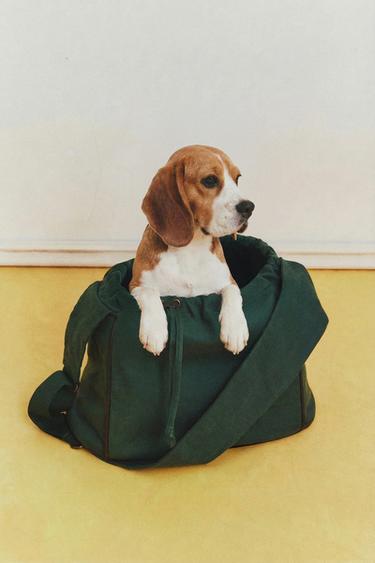 COTTON PET CARRIER - Green by Zara