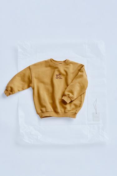 ZARA TIMELESZ  - EMBROIDERED DETAIL SWEATSHIRT - Beige by Zara - Image 0